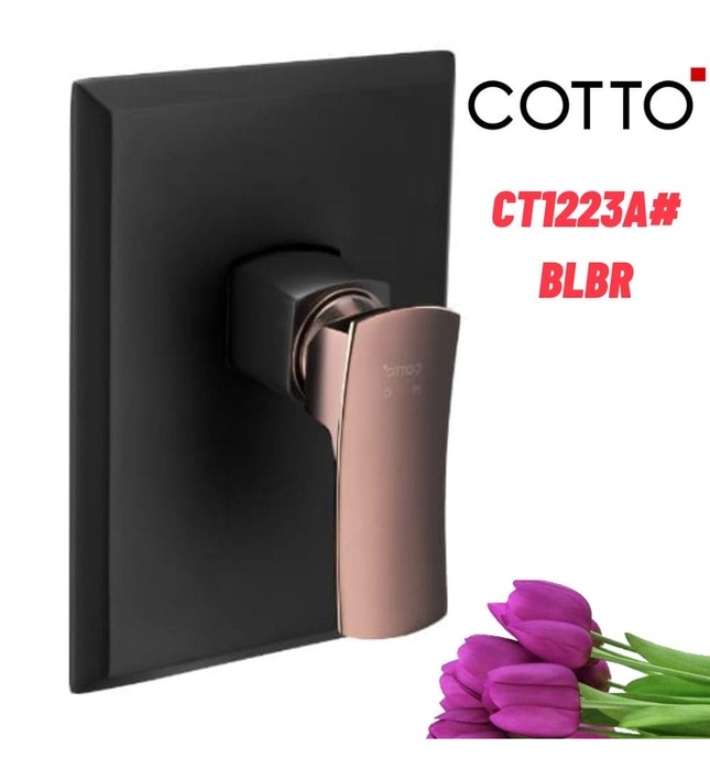 Mặt nạ sen tắm âm tường COTTO CT1223A#BLBR
