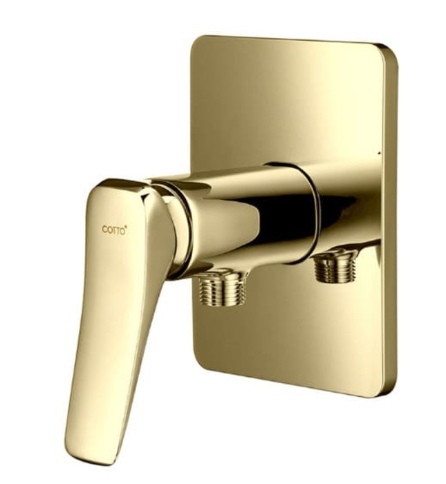 Mặt nạ sen tắm âm tường COTTO CT1243A#GR2