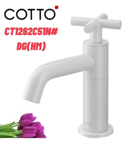 Vòi rửa mặt lavabo lạnh COTTO CT1262C51N#DG(HM)