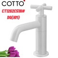 Vòi rửa mặt lavabo lạnh COTTO CT1262C51N#DG(HM)
