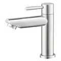 Vòi rửa mặt lavabo lạnh COTTO CT1266C54#SA(HM)