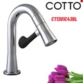 Vòi rửa mặt lavabo lạnh COTTO CT1301C43BL