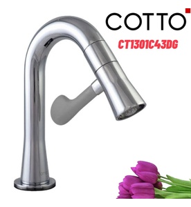Vòi rửa mặt lavabo lạnh COTTO CT1301C43DG