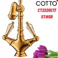 Vòi rửa mặt lavabo nóng lạnh COTTO CT2220C17ST#GR