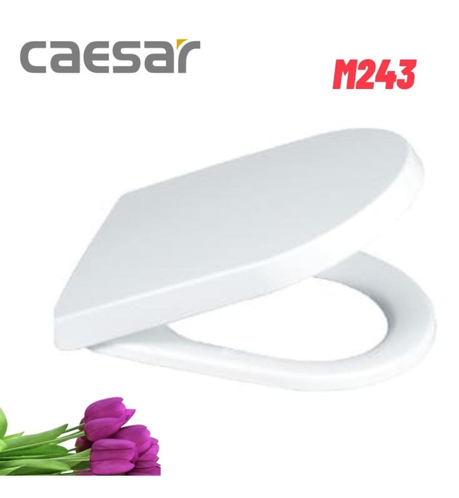 Nắp bàn cầu rơi êm Caesar M243