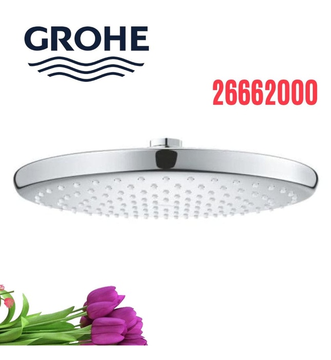 Bát Sen Tắm Gắn Trần Đức Grohe 26662000
