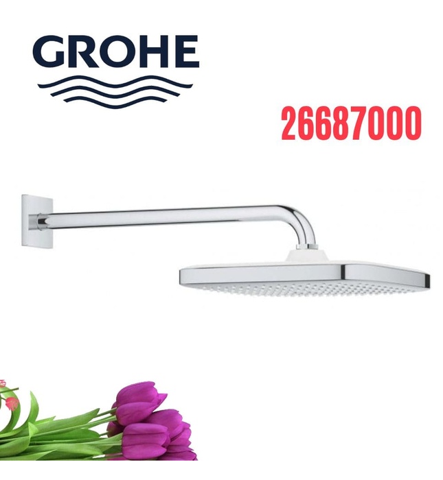 Bát Sen Tắm Gắn Tường Đức Grohe 26687000