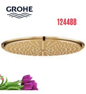Bát Sen Tắm Gắn Trần Đức Grohe 124488