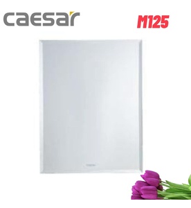 Gương soi treo tường Caesar M125 500x700 mm