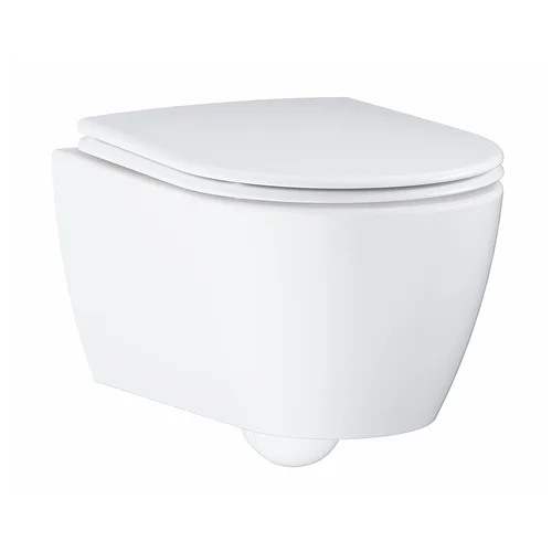 Thân Bồn Cầu Treo Tường Đức Grohe 3957100H
