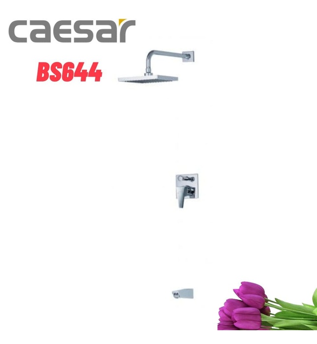 Vòi Sen Âm Tường Nóng Lạnh Caesar BS644 