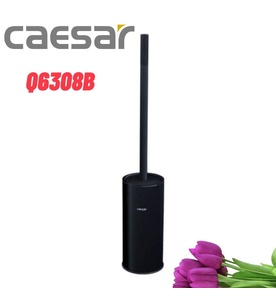 Chổi cọ phòng vệ sinh Caesar Q6308B