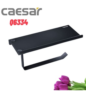 Móc giấy vệ sinh Caesar Q6334