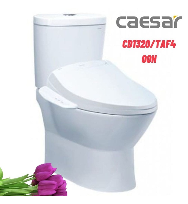 Bồn Cầu Hai Khối nắp điện tử Caesar CD1320/TAF200H