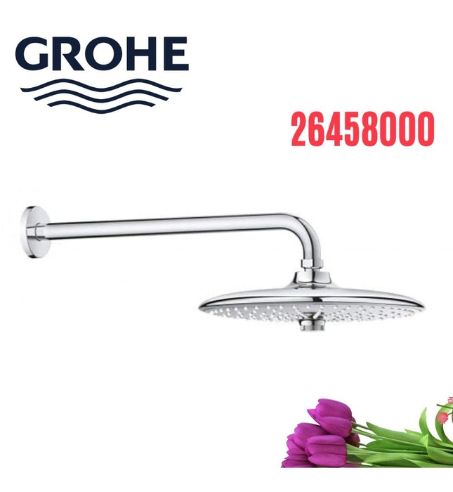 Bát Sen Tắm Gắn Tường Đức Grohe 26458000
