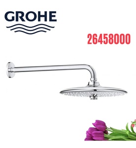 Bát Sen Tắm Gắn Tường Đức Grohe 26458000