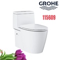 Bồn Cầu 1 Khối Nắp Đóng Êm Nhập Khẩu Đức Grohe 115609