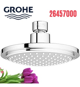 Bát Sen Tắm Gắn Trần Đức Grohe 26457000