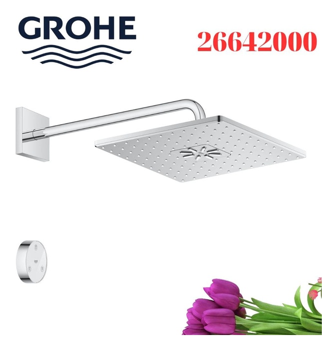 Bát Sen Tắm Gắn Tường Đức Grohe 26642000