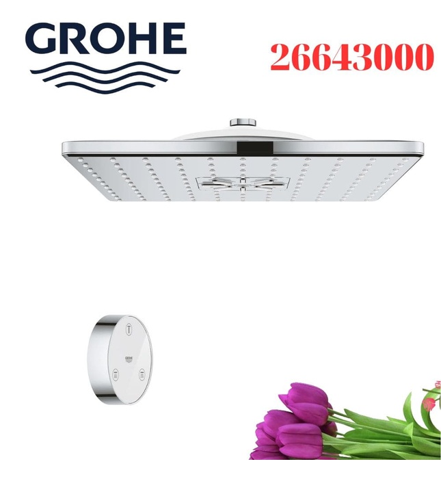 Bát Sen Tắm Gắn Trần Đức Grohe 26643000