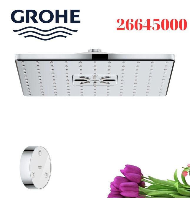 Bát Sen Tắm Gắn Trần Đức Grohe 26645000