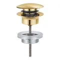 Nút Nhấn Xả Lavabo Đức Grohe 65807GN0