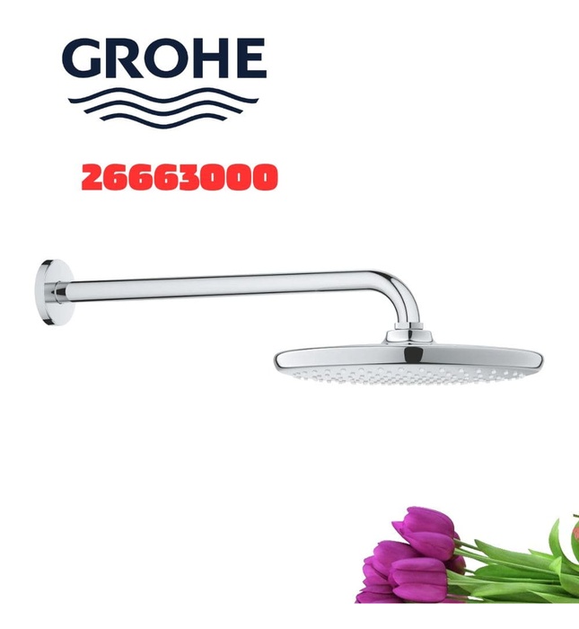 Bát Sen Tắm Gắn Tường Đức Grohe 26663000