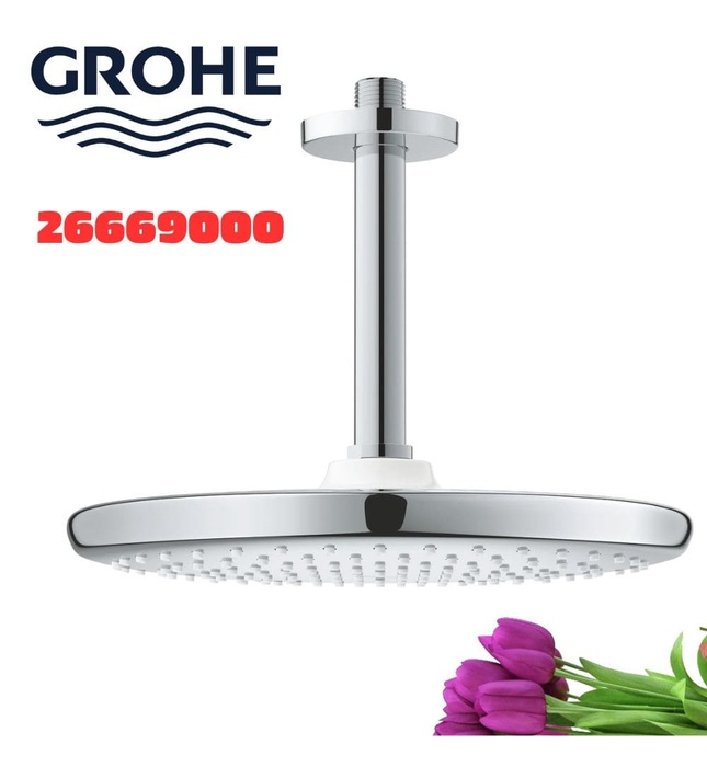 Bát Sen Tắm Gắn Trần Đức Grohe 26669000