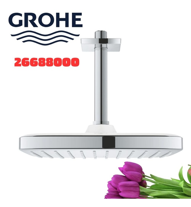 Bát Sen Tắm Gắn Trần Đức Grohe 26688000