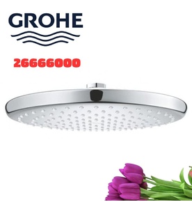 Bát Sen Tắm Gắn Trần Đức Grohe 26666000