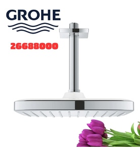 Bát Sen Tắm Gắn Trần Đức Grohe 26688000