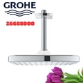 Bát Sen Tắm Gắn Trần Đức Grohe 26688000