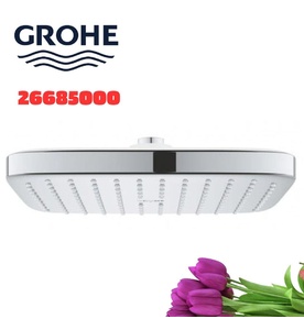Bát Sen Tắm Gắn Trần Đức Grohe 26685000
