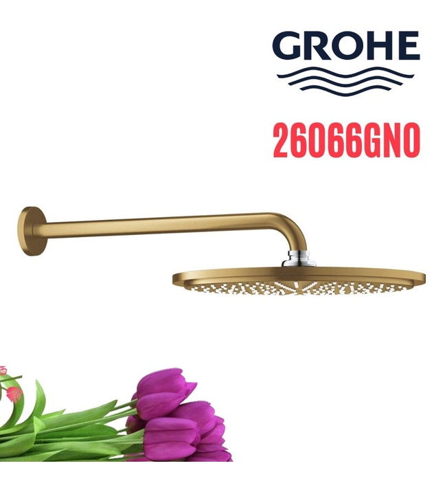 Bát Sen Tắm Gắn Tường Đức Grohe 26066GN0