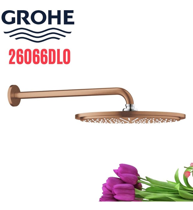 Bát Sen Tắm Gắn Tường Đức Grohe 26066DL0