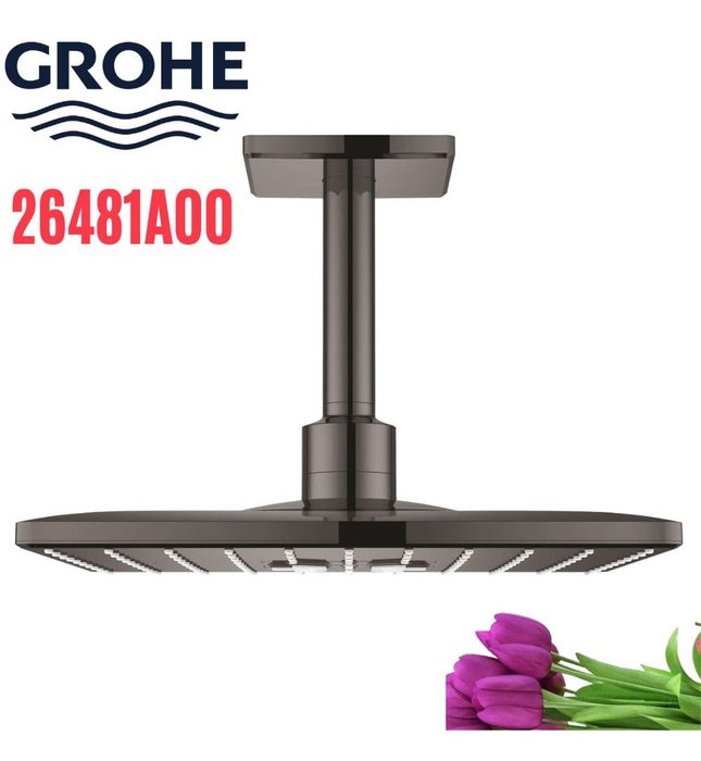 Bát Sen Tắm Gắn Trần Đức Grohe 26481A00