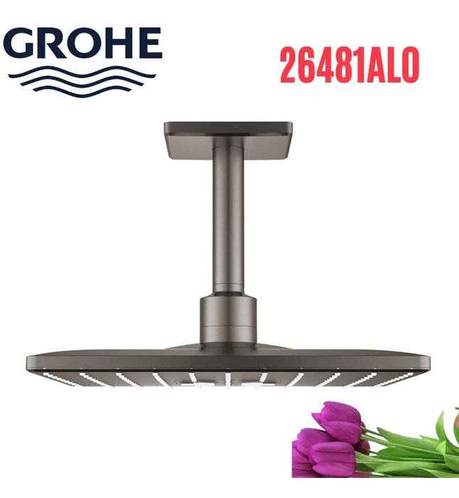 Bát Sen Tắm Gắn Trần Đức Grohe 26481AL0