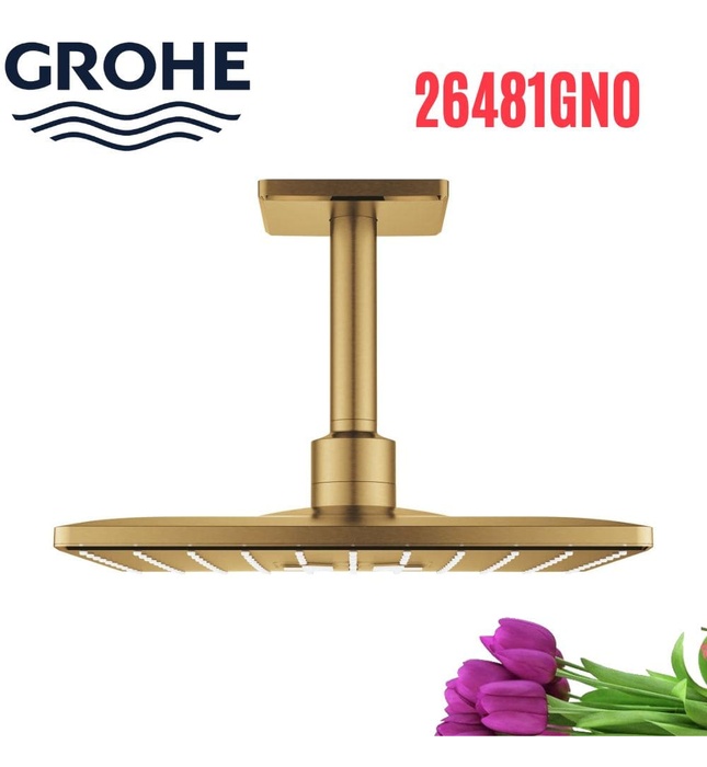 Bát Sen Tắm Gắn Trần Đức Grohe 26481GN0