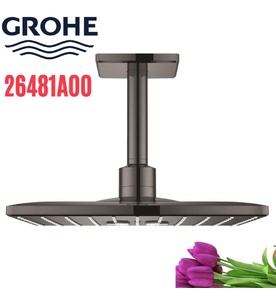 Bát Sen Tắm Gắn Trần Đức Grohe 26481A00