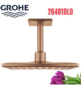 Bát Sen Tắm Gắn Trần Đức Grohe 26481DL0