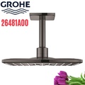 Bát Sen Tắm Gắn Trần Đức Grohe 26481A00