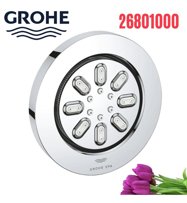 Bát Sen Tắm Gắn Trần Đức Grohe 26801000