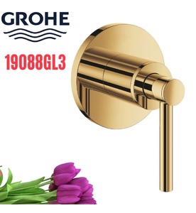 Mặt Nạ Sen Âm Tường Đức Grohe 19088GL3