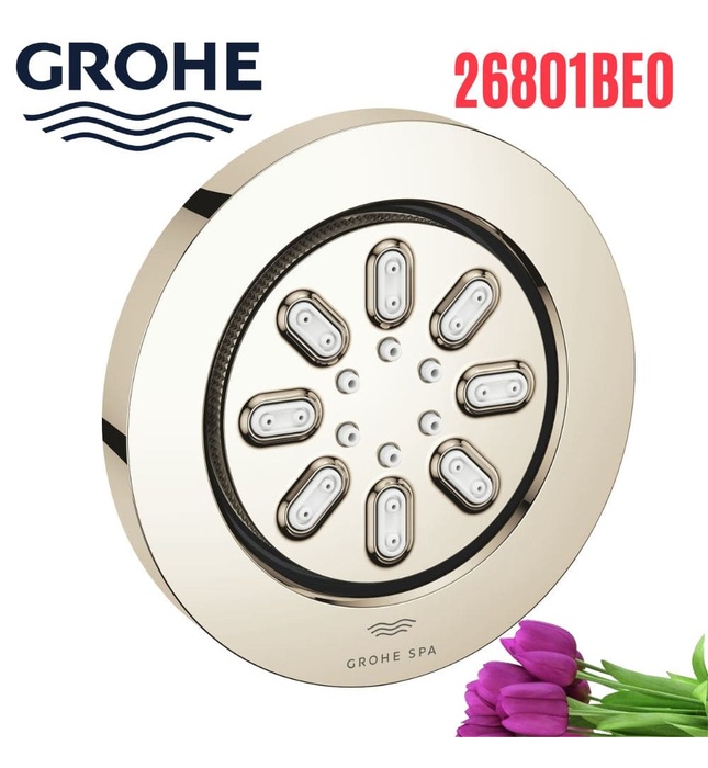 Bát Sen Tắm Gắn Trần Đức Grohe 26801BE0