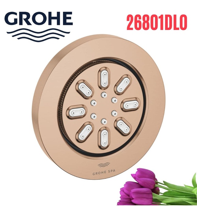 Bát Sen Tắm Gắn Trần Đức Grohe 26801DL0