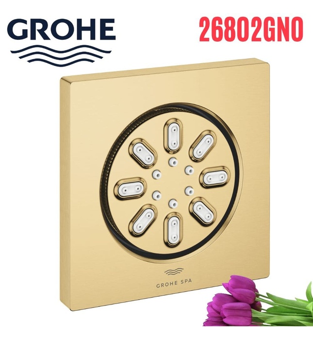 Bát Sen Tắm Gắn Trần Đức Grohe 26802GN0