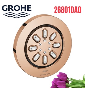 Bát Sen Tắm Gắn Trần Đức Grohe 26801DA0
