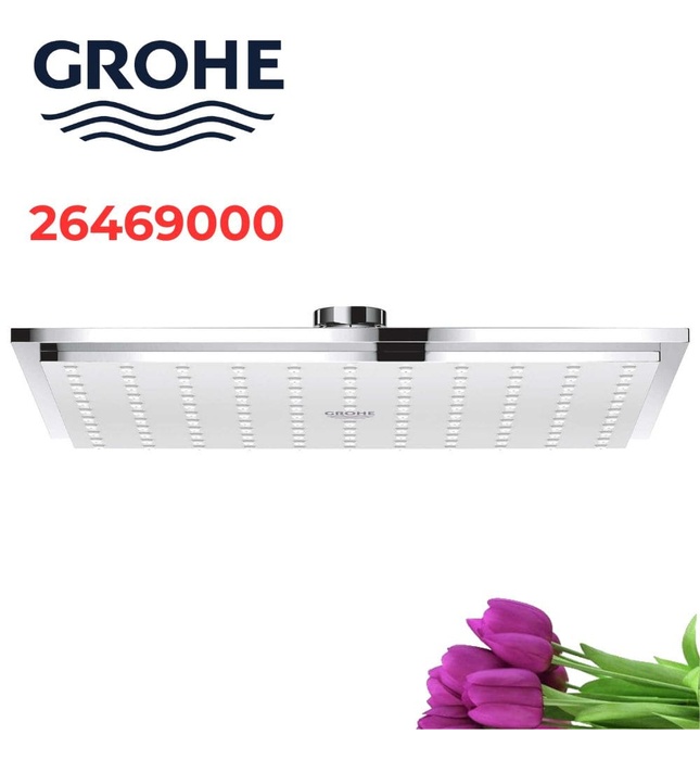 Bát Sen Tắm Gắn Trần Đức Grohe 26469000