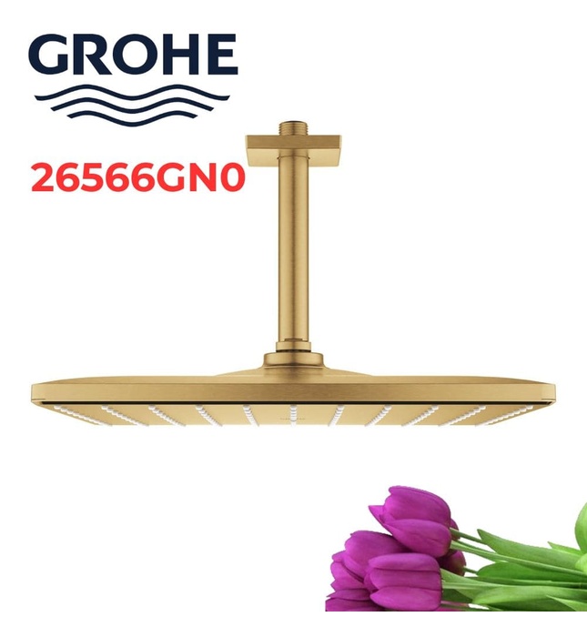 Bát Sen Tắm Gắn Trần Đức Grohe 26566GN0