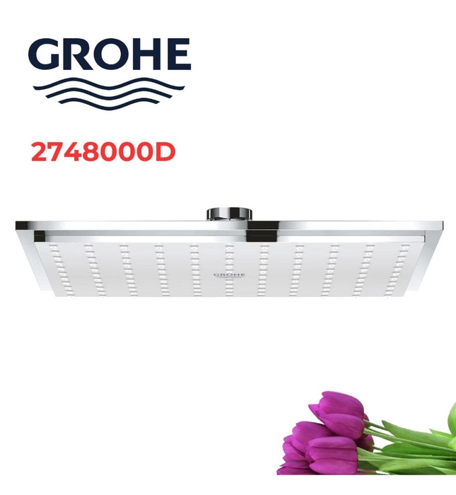 Bát Sen Tắm Gắn Trần Đức Grohe 2748000D